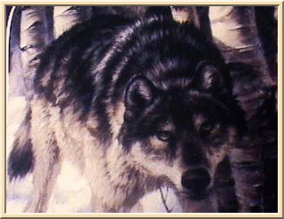 sherwolf23.gif